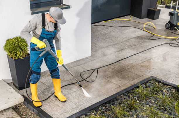 Best Roof Pressure Washing  in Fox Lake, WI